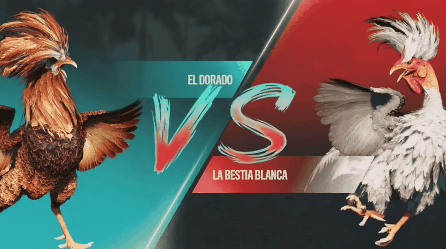 c333 Plataforma App de Slots